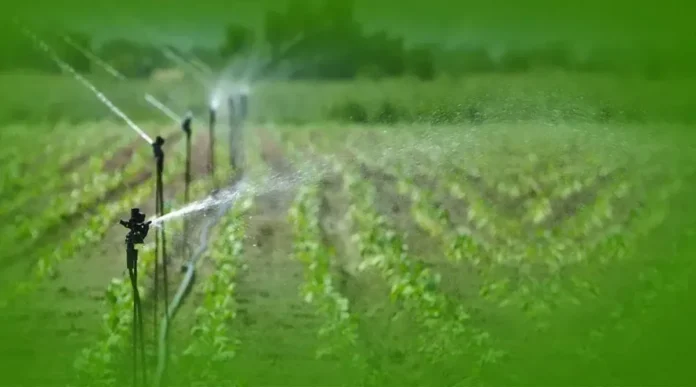 promote drip and sprinkler irrigation.