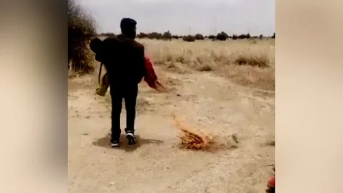 viralvideo