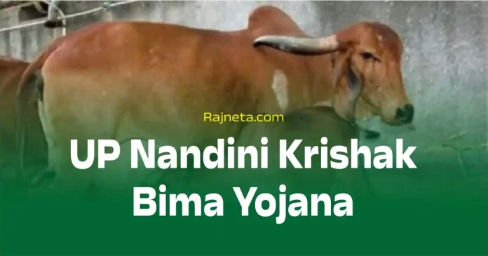 UP Nandini Krishak Bima Yojana